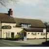 Black Horse