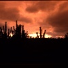 Fiery Sky