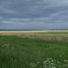 The marshes at Faxfleet