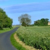 Winding lane, Faxfleet