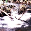 White Water