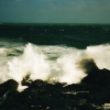 Sea Spray
