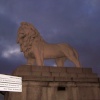 Lion Sentry Near Festival Pier