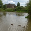 Fishing pond