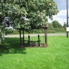 Village stocks, Weston-on-the-Green