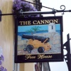 The Cannon