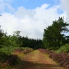 Longridge Fell