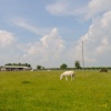 Donkey Sanctuary and field