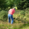 Rex in the rough