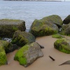 Rocks near Sea Palling