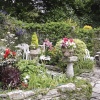 Worth tea rooms