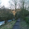 A view of Allendale