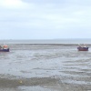 Tide's Out