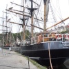 Tall Ships at Charlestown
