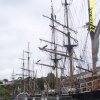 Tall Ships at Charlestown