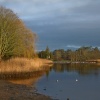 Mill pond, Beaulieu, Hampshire