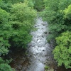 A view of Allendale