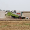 Harvest Time