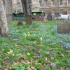 City Centre Church Yard