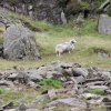 Kirkstone pass, Cumbria