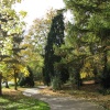 Autumn in the park