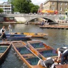 Punts in Cambridge