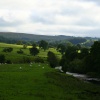 Newton