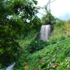 Large waterfall in Rainforest area at Eden