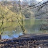 A lake at Roundhay park.
