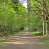 An excellent walk.