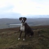 Burnhope Reservoir
