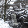 The River Wear - Cowshill