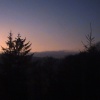 Winter Sunset - Cow