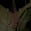 Bell ropes, Steeple Claydon church, Bucks