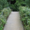 Bridge over River Test, Mottisfont Abbey Garden