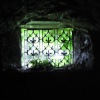 Cellarium window