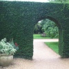 Yew Hedge Arch