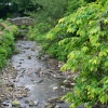 Coronation Gardens