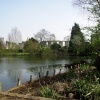 Priory Pond, Bishop's Waltham