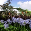 Eden Project