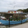 Watchet floral display