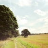Ickworth Park