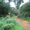 A walk in Shotover Country Park, Oxford