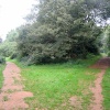 A walk in Shotover Country Park, Oxford