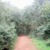 A walk in Shotover Country Park, Oxford