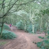 Shotover Country Park, Oxford