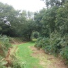 A walk in Shotover Country Park, Oxford