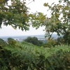 A walk in Shotover Country Park, Oxford