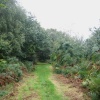 A walk in Shotover Country Park, Oxford