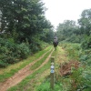 A walk in Shotover Country Park, Oxford